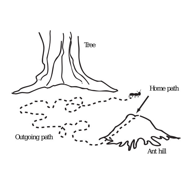 SVG Ant path vector illustration