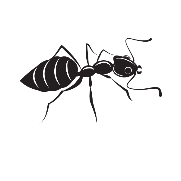 SVG Ant silhouette clip art