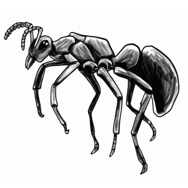 SVG Ant vector image