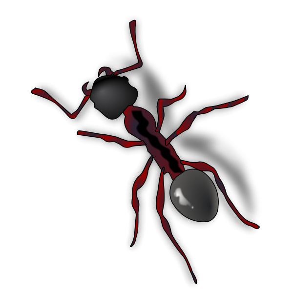 SVG Ant with shadow