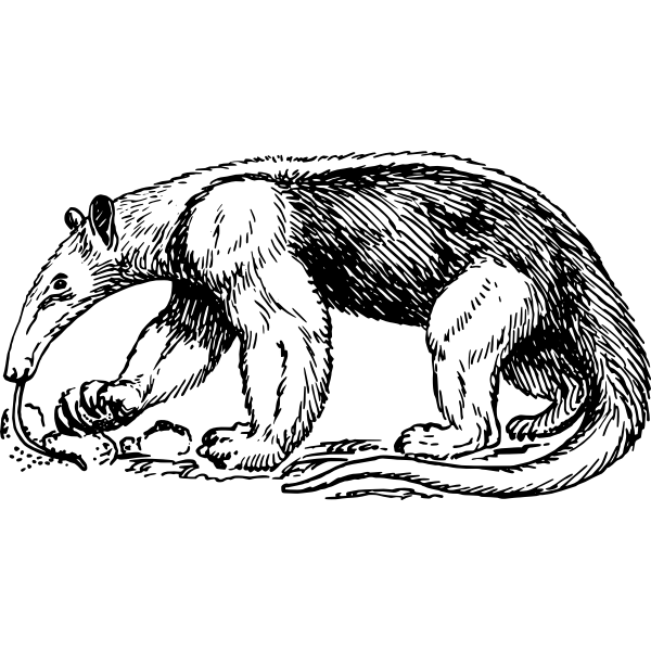 SVG anteater
