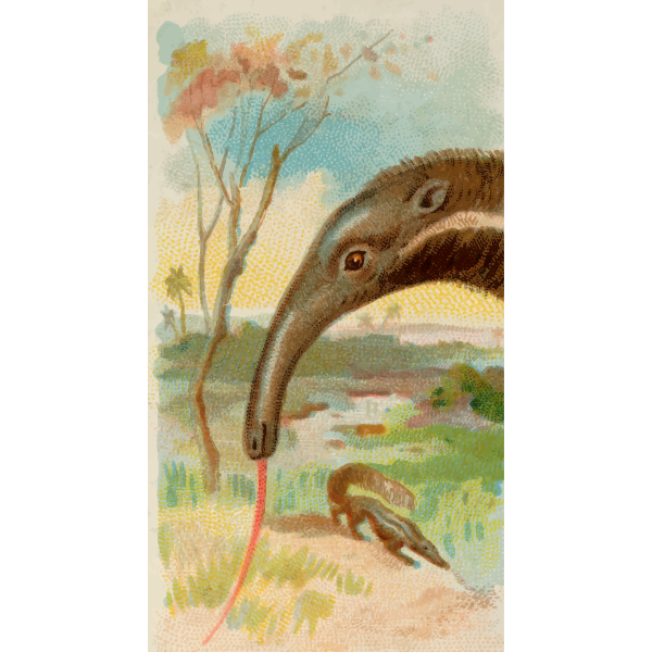 SVG Anteaters
