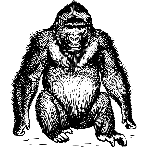 SVG ape 3