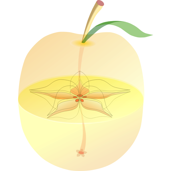 SVG AppleAnatomy