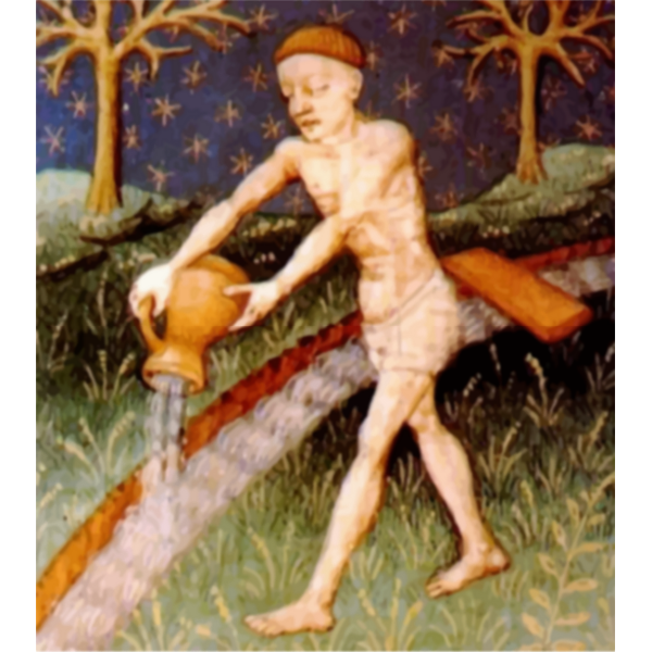 SVG Aquarius illustration