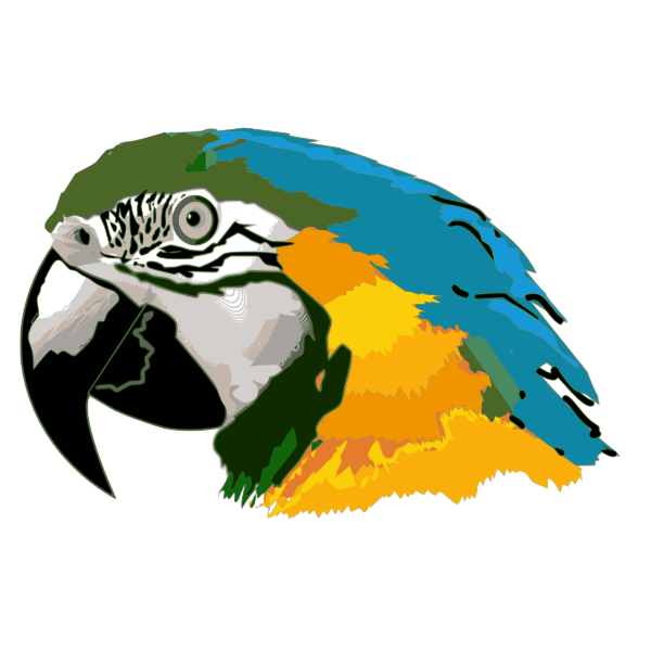 SVG arara caninde TRACE BITMAP