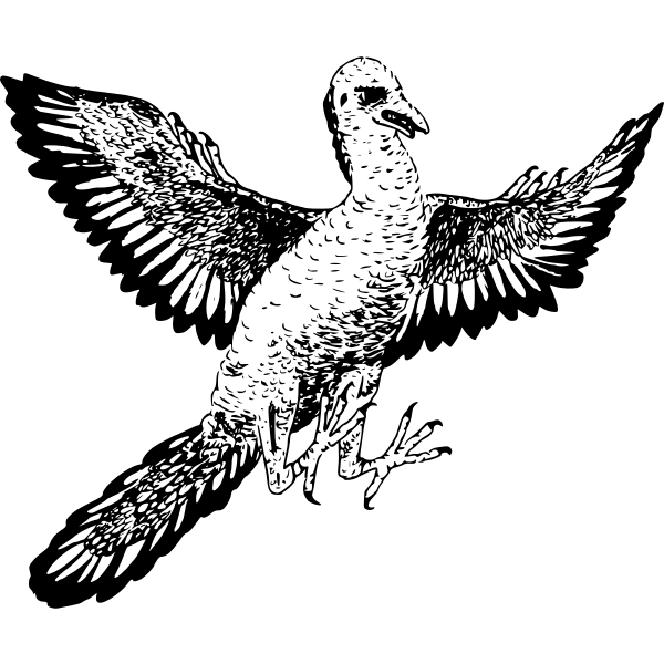 SVG archaeopteryx
