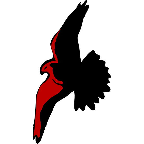 SVG Architetto Acquila 01