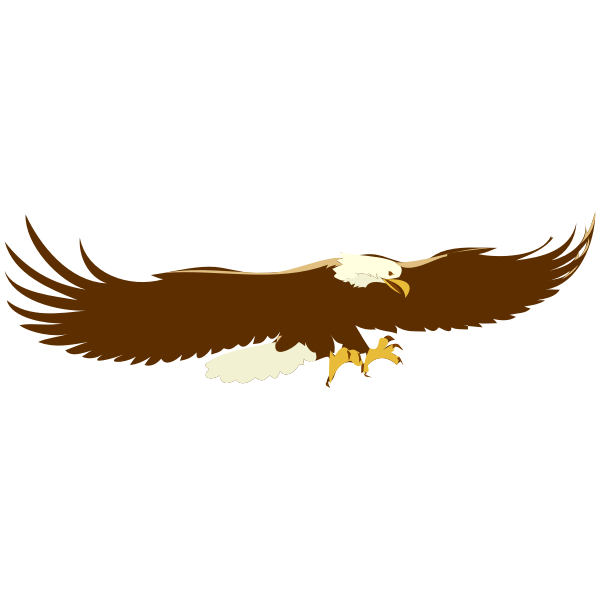 SVG Architetto Acquila 03