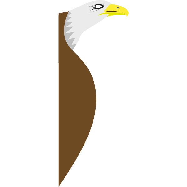 SVG Architetto Acquila 04