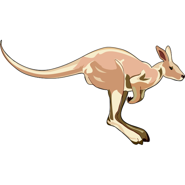 SVG Architetto -- Canguro