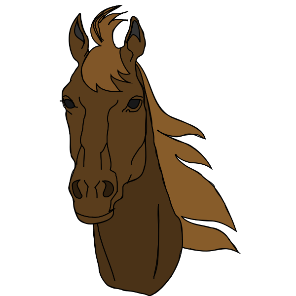 SVG Architetto -- Cavallo 17