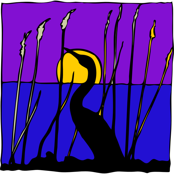 SVG Architetto -- Cigno di notte nella palude