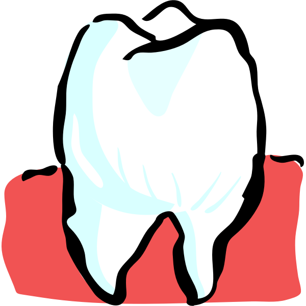 SVG Architetto -- Dente