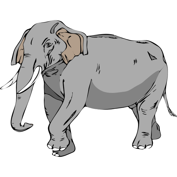 SVG Architetto -- Elefante 02