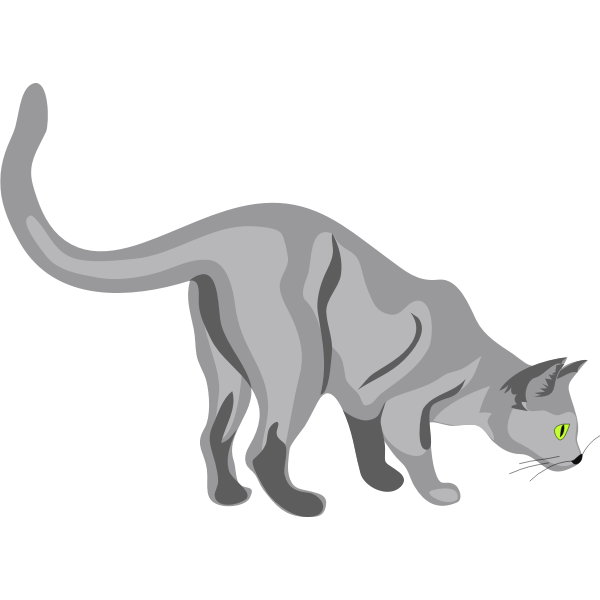 SVG Architetto -- Gatto 02