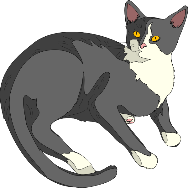 SVG Architetto -- Gatto 03