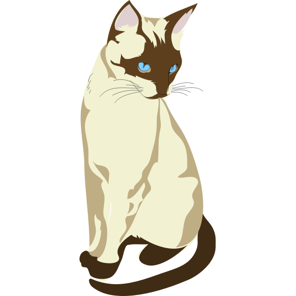 SVG Architetto -- Gatto 04