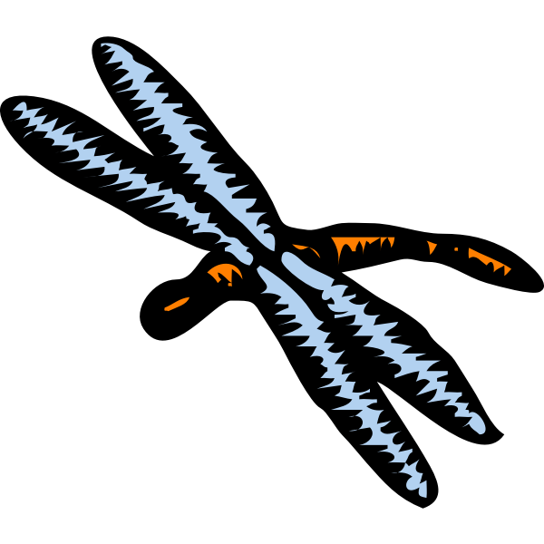 SVG Architetto -- libellula