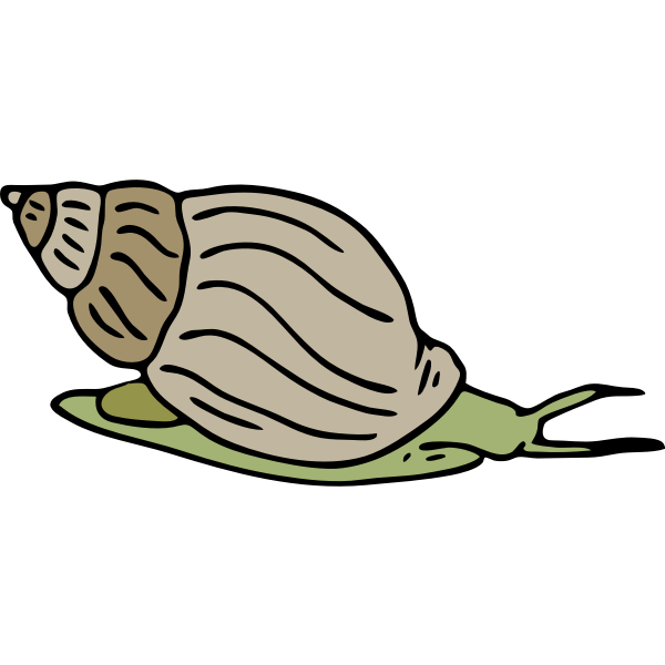 SVG Architetto -- lumaca