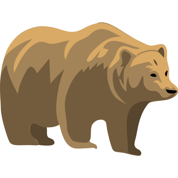 SVG Architetto -- orso 12