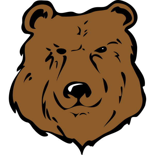 SVG Architetto -- orso 13