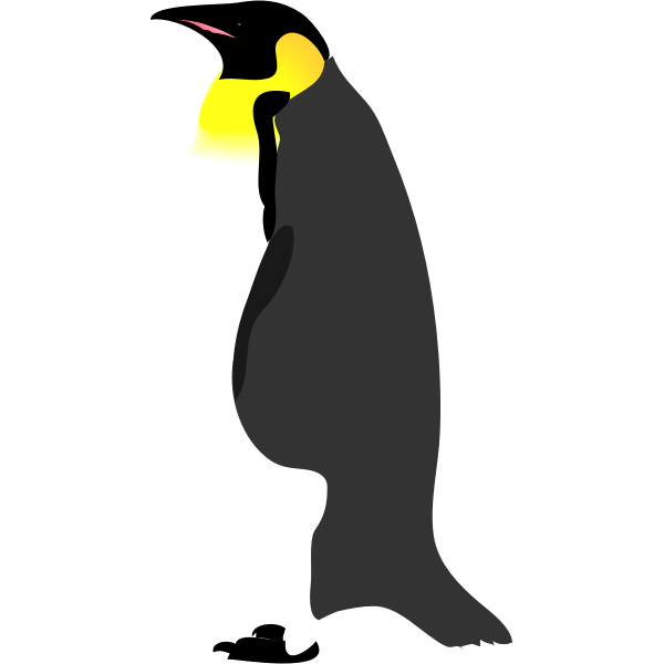 SVG Architetto -- pinguino 2