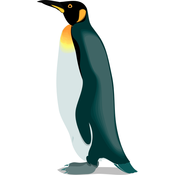 SVG Architetto -- pinguino 4