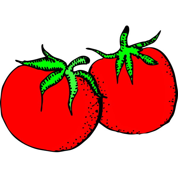 SVG Architetto -- pomodori