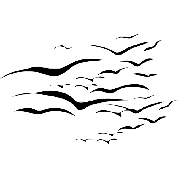 SVG Architetto -- stormo di ucelli