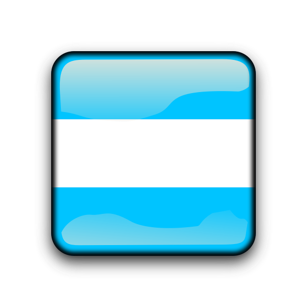 SVG Argentina glossy button flag