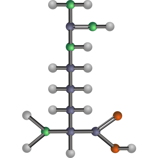 SVG Arginine amino acid