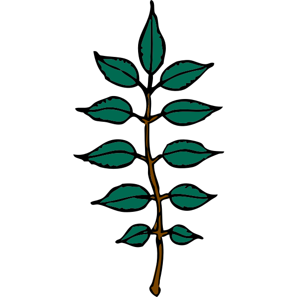 SVG ash leaves
