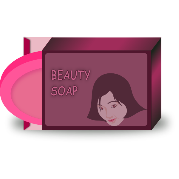 SVG Asian beauty soap vector image