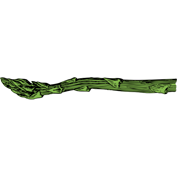 SVG asparagus spear