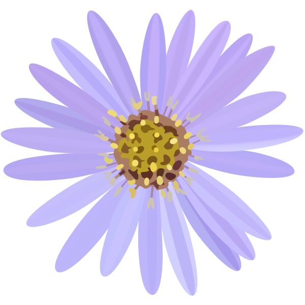 SVG Aster-1574064050