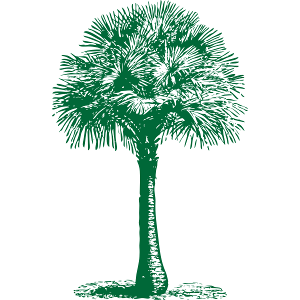 SVG Australian Fan Palm