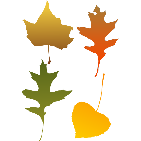 SVG Autum leaf