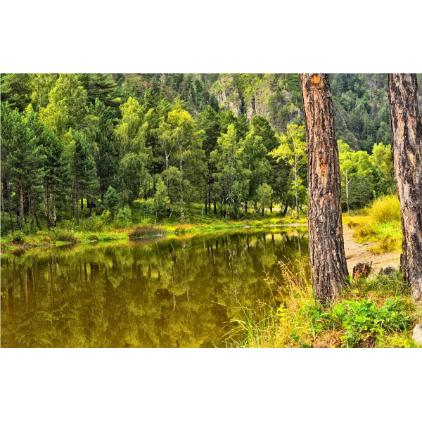 SVG Autumn Lake Reflection