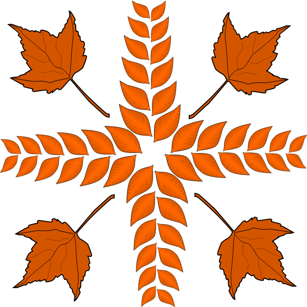 SVG Autumn leaves arrangement vector image