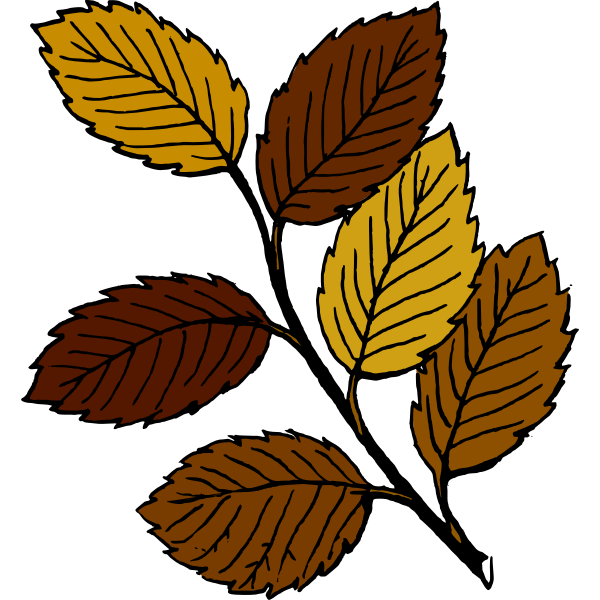 SVG Autumn leaves on branch vector image