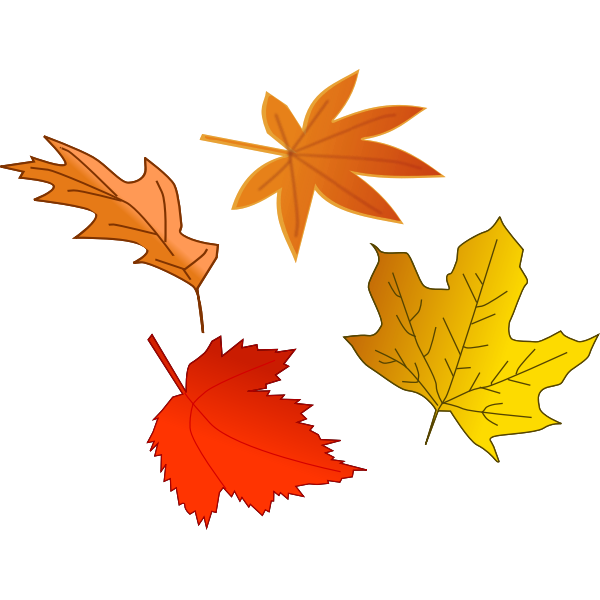 SVG Autumn leaves selection vector image