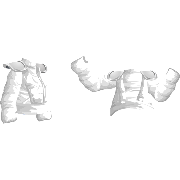 SVG avatar wardrobe shirt ninja top tester