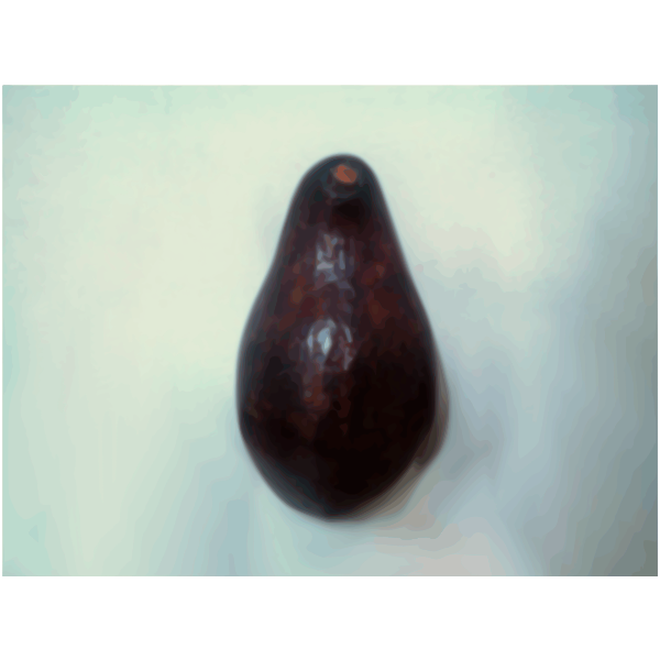 SVG Avocado fruit