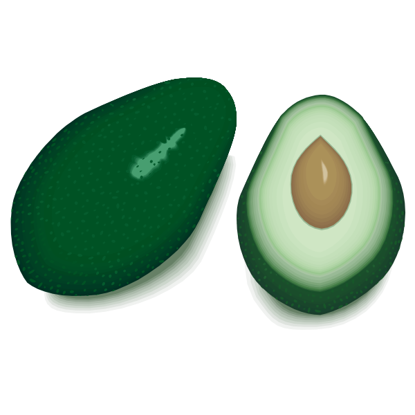 SVG Avocado with insides