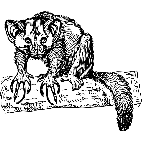 SVG aye-aye