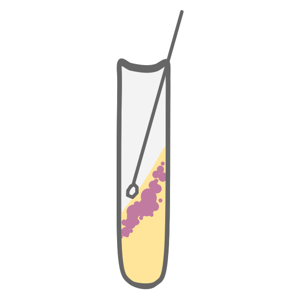 SVG Bacterial Culture Tube