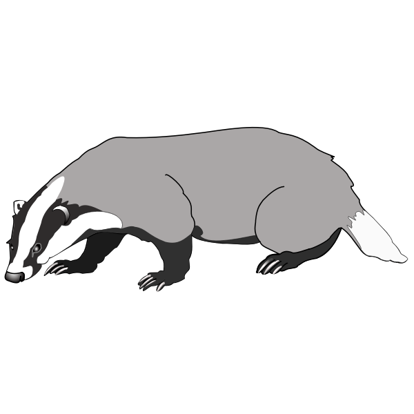 SVG badger