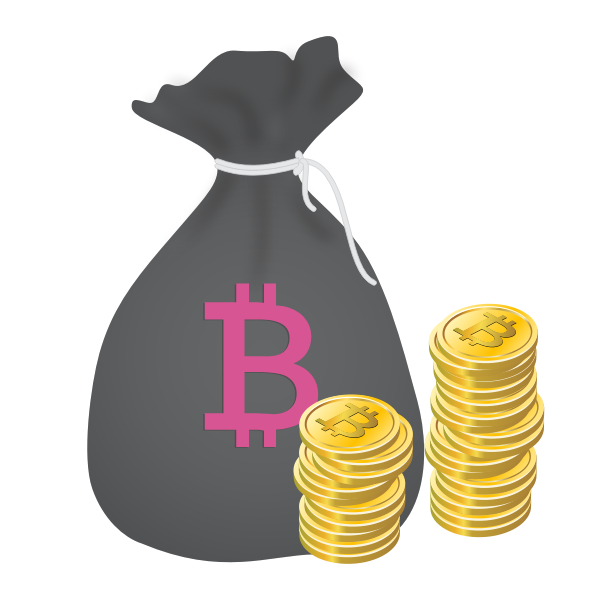 SVG Bag of Bitcoins vector image