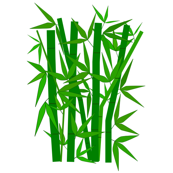 SVG Bamboo graphic